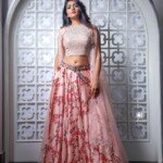 Eesha Rebba hotTelugu cinema actress navel show